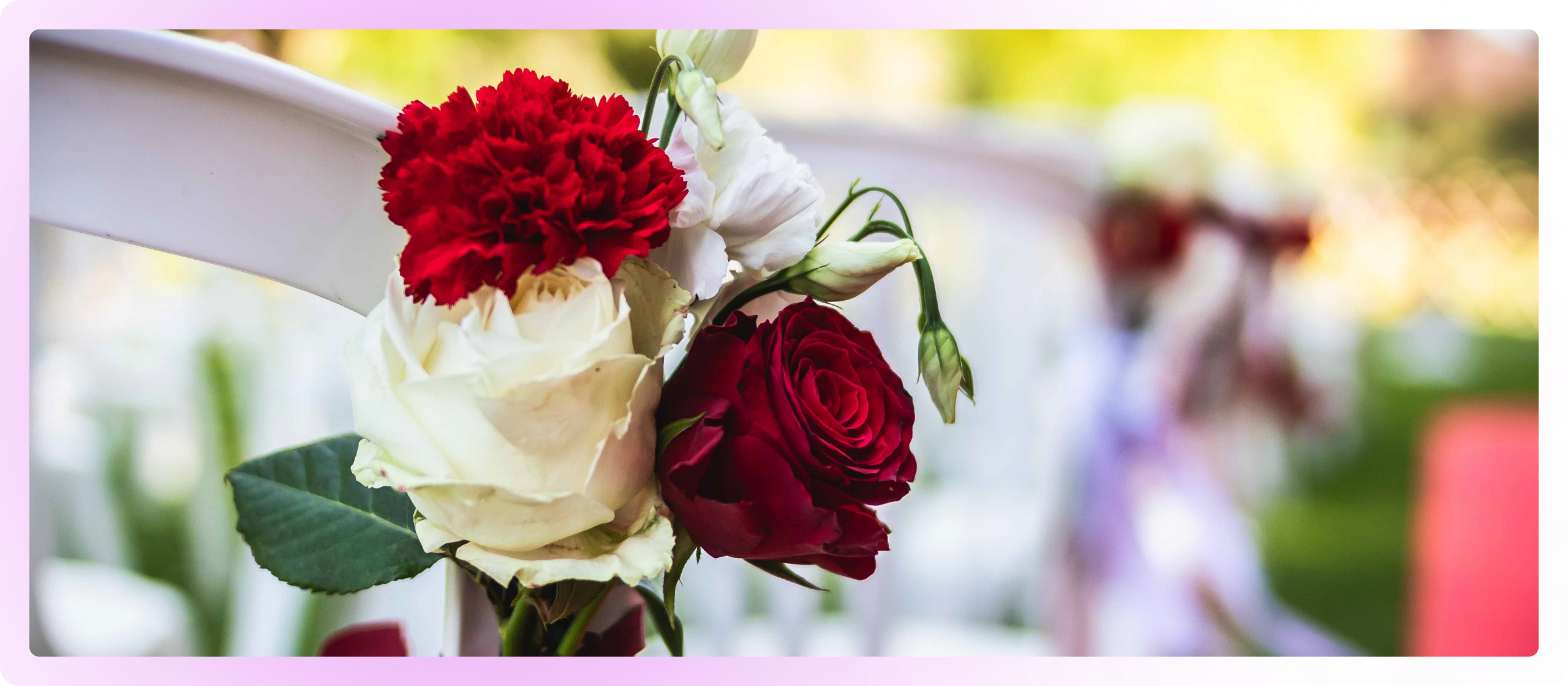 Image de roses rouge et blanche accrochée à une chaise lors d'une cérémonie laïque